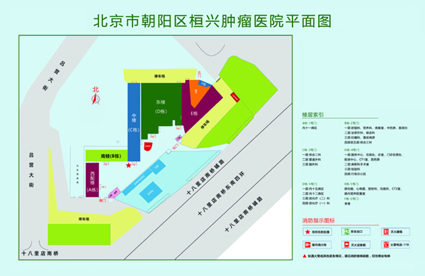 后入jk啪啪北京市朝阳区桓兴肿瘤医院平面图